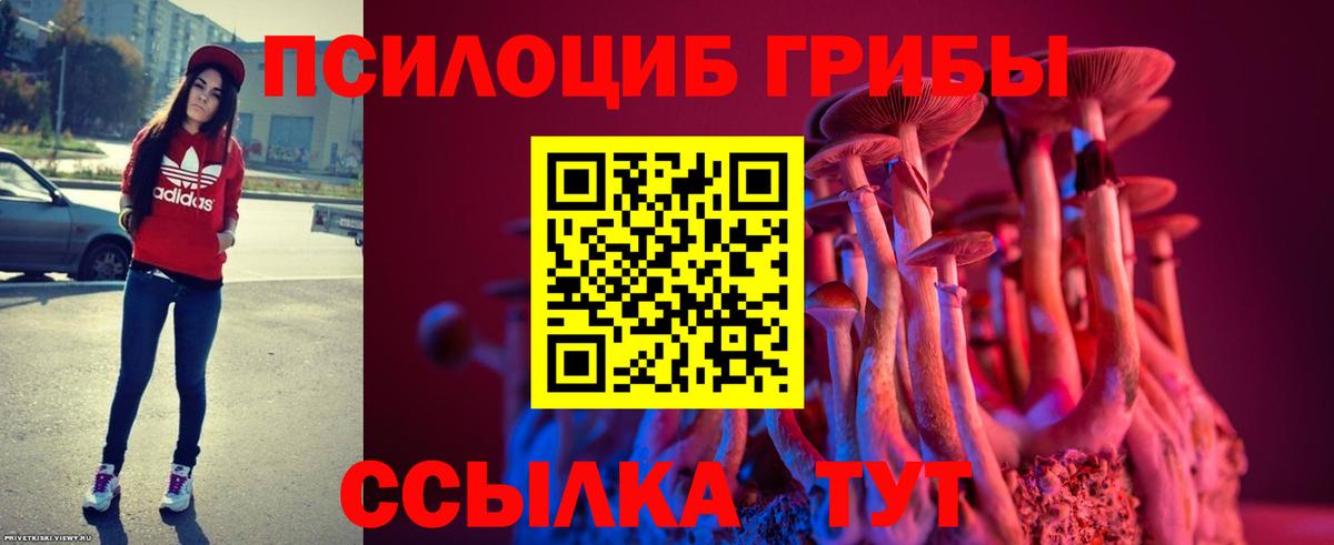 Псилоцибиновые грибы ЛСД  Галлюциногенные грибы мухоморы  Гусиноозёрск  Вход с VPN 
